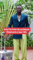 Les Éléphants sapés comme jamais