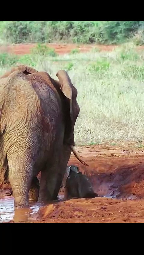 Global trading and sourcing company