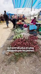 "J’espère que d’autres jeunes se lanceront dans des projets en lesquels ils croient."