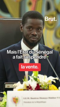 Le Sénégal annonce vouloir acquérir la bibliothèque de Léopold Sédar Senghor