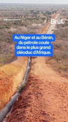 Du pétrole coule dans le plus grand oléoduc d'Afrique