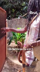 Il a créé un paradis pour les animaux sauvages menacés.