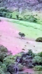 Sale a la luz un video cuando uno de los atracadores de una odontóloga huía por la serranía
