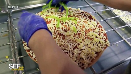 Sef sub acoperire Sezonul 4 Episodul 11 din 21 Noiembrie 2024 Online gratis pe net