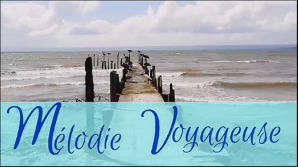 🎶 MELODIE VOYAGEUSE - journey fantasy music - Oud and Composer : HUSSEIN ELMASRY