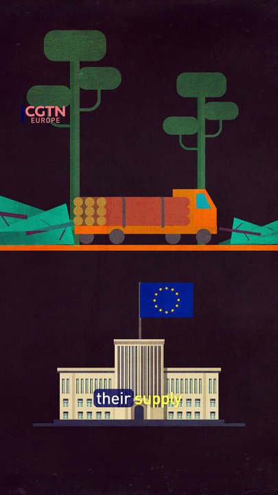 Explainer: EU postpones anti-deforestation law by a year
