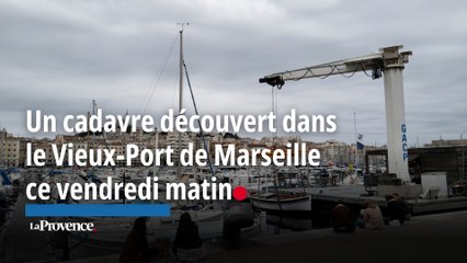 Un cadavre découvert dans le Vieux-Port  de Marseille ce vendredi matin