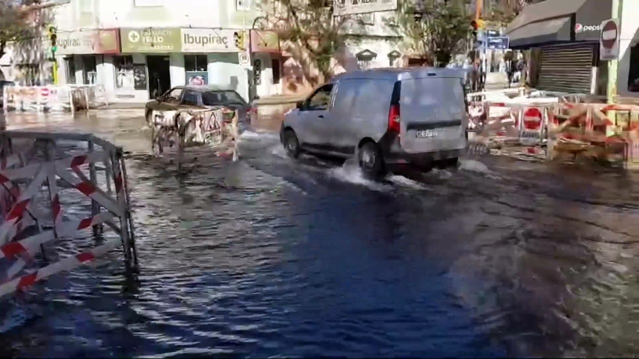 Undiano y Brown