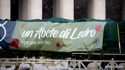 Installato il gigantesco abete per il Natale in piazza San Pietro