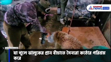 বরফের মধ্যে ভাল্লুকের প্রান বাঁচাল ভারতীয় সেনা, দেখুন দুঃসাহসিক ভিডিও