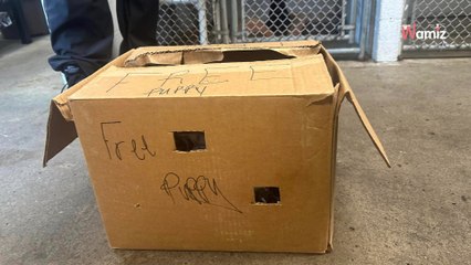 Il trouve un carton abandonné devant chez lui : le mot écrit dessus donne la chair de poule