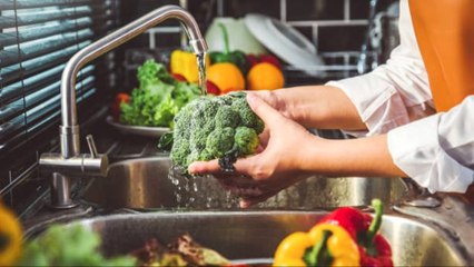 Intoxicación Alimentaria: Consejos Para Garantizar Una Alimentación Sana
