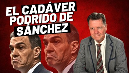 Alfonso Rojo: “Aldama tira de la manta y aparecen debajo el cadáver podrido de Sánchez y el PSOE”