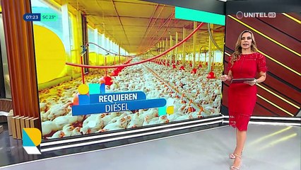 Agropecuarios señalan que por falta de diésel habrá menos oferta “lo que produce incremento de precios”