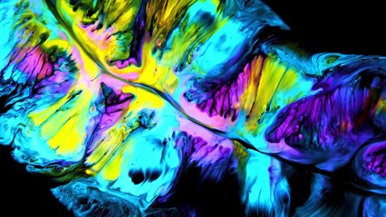 8K HDR 240FPS | VIDEO TEST | QUALITY TEST | AM MEDIA