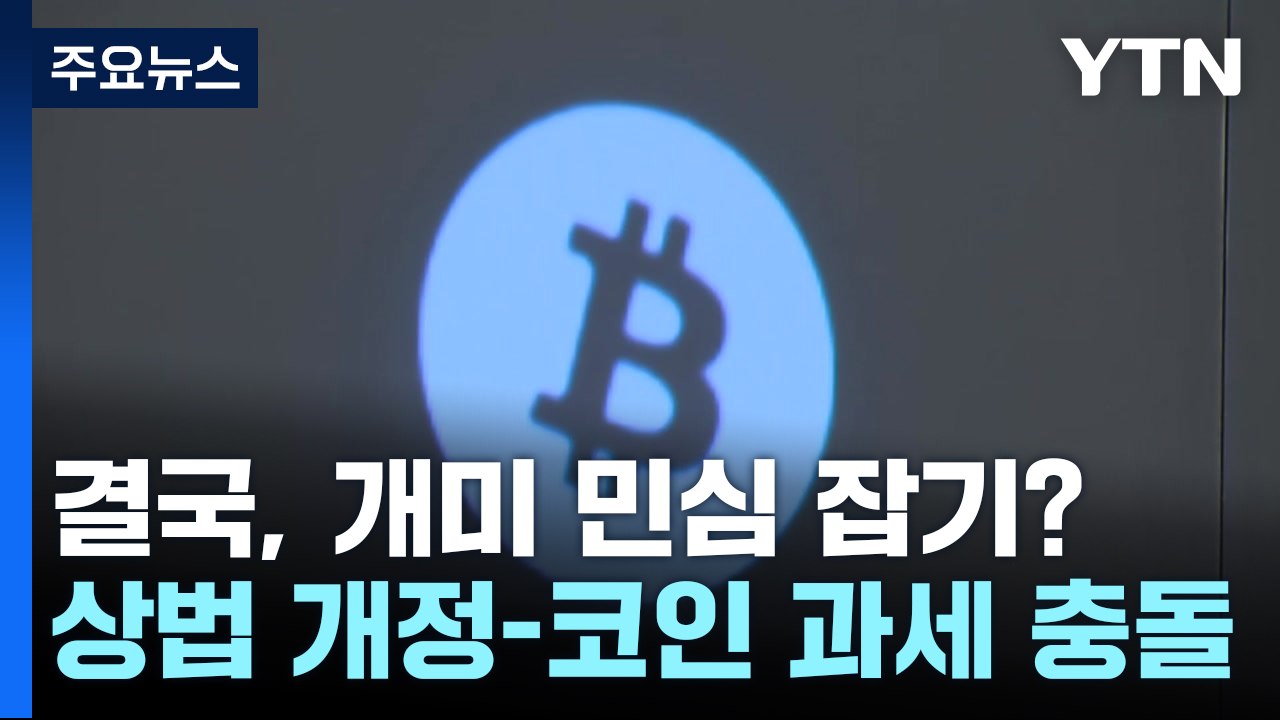 '상법 개정·코인 과세' 여야 충돌..."결국, 개미 민심 잡기" / YTN
