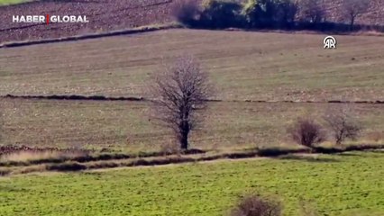 Karacalar cep telefonu kamerasıyla görüntülendi