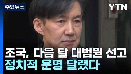 조국, 다음 달 대법원 선고...정치적 운명 달렸다 / YTN