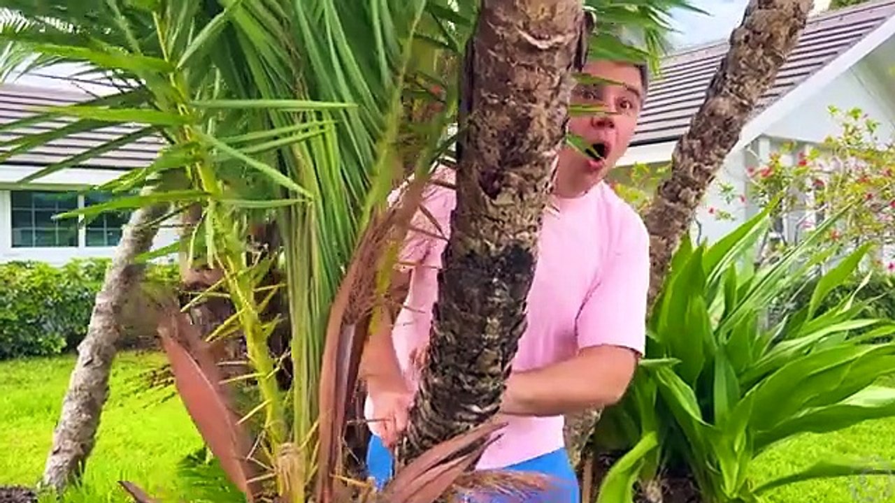 Nastya learns safety rules from her dad