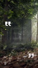 Finding joy in our journey - Motivational Video