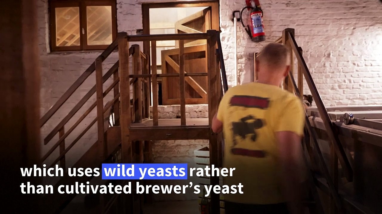 'Primitive beer' attracts visitors from all over the world to Brussels ...