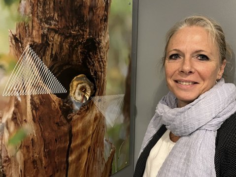 Plongez au cœur de la nuit avec In somnia au musée d'histoire naturelle de Tournai