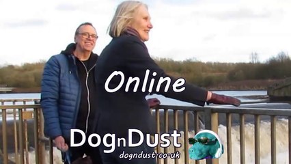 Online by DognDust: A Journey to Love 💖