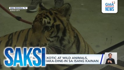 Iba't ibang exotic at wild animals, puwedeng maka-dine-in sa isang kainan | Saksi