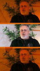 Mis amigos australianos