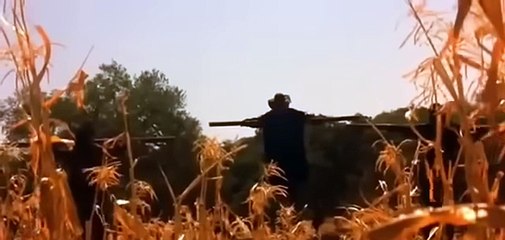 Él espanta pájaros 2 Película completa en español