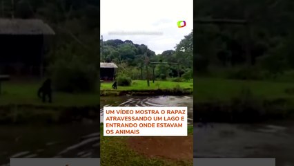 Homem é detido após invadir espaços de macacos e hipopótamos em zoológico no Paraná #shorts