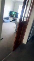 Bulldog is upset because his human brother is late getting home!