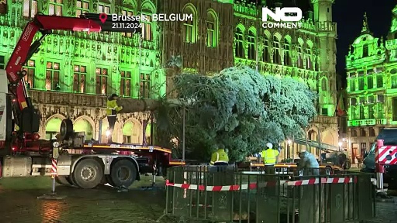 Arbeiter stellen einen 20 Meter hohen Weihnachtsbaum auf dem Grand Place in Brüssel auf