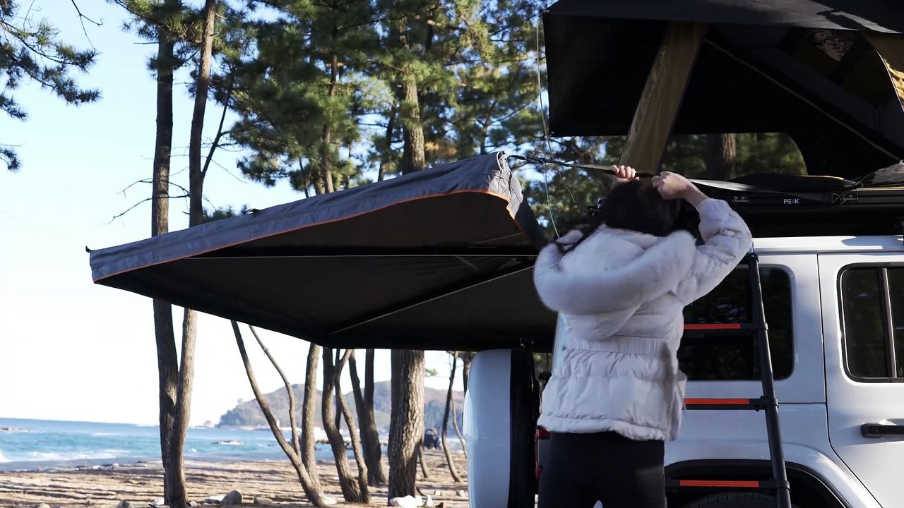 Episode 233  Camping alone at the beach in winter is so healing #camping #Outdoor Camping #ImmersiveCamping #Unzip #Shake before going to bed