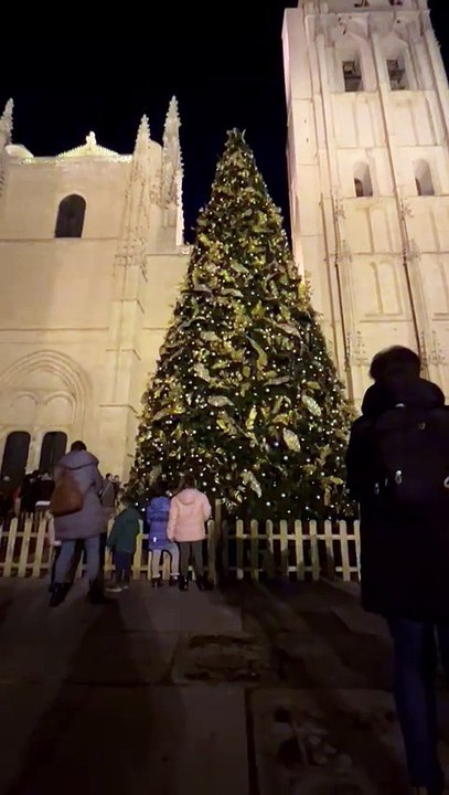 Encendido del árbol de Navidad de la Catedral