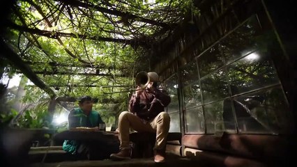 La Delio Valdez - Pájaro y Demonio