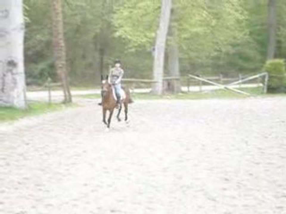 Oto et moi galop