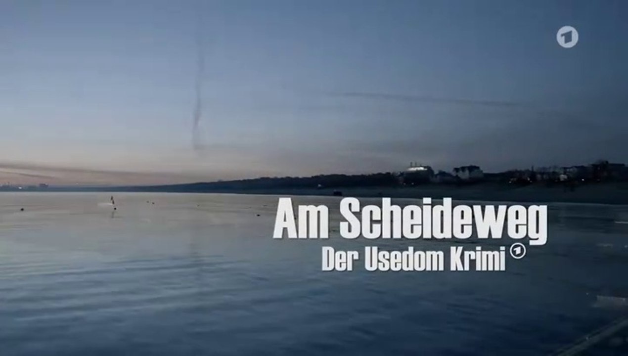 Der Usedom-Krimi -23- Am Scheideweg