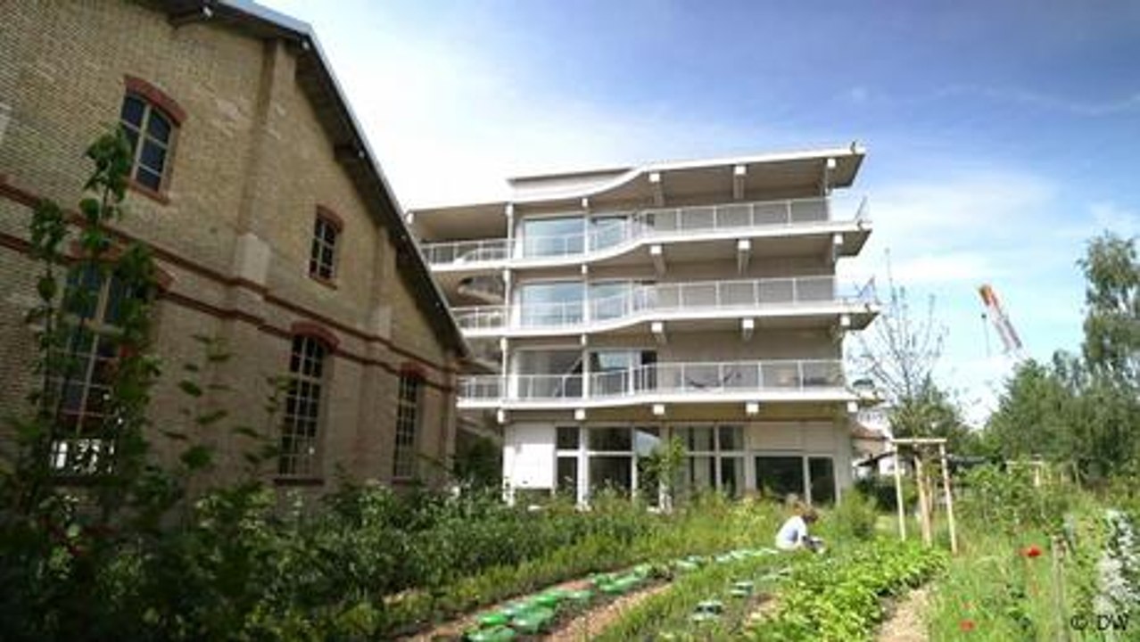 Klimaschonend Bauen? So geht das in der Schweiz