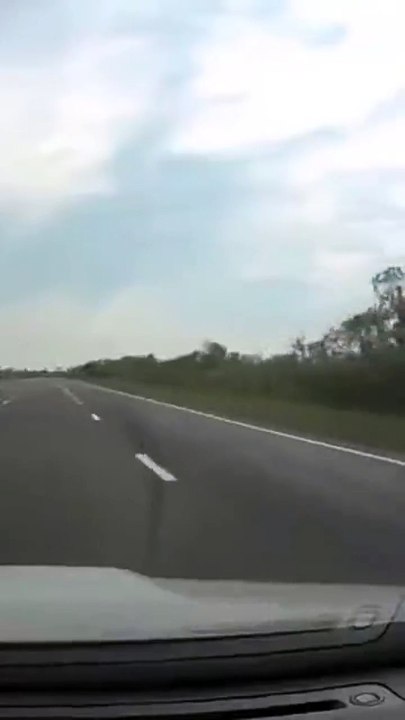 Bird drops rock onto windshield