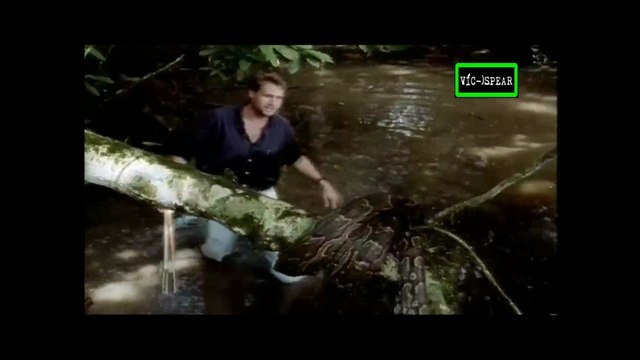 Al Cuidado de la Naturaleza: Dwigth y los Pitones- Documental (1995) - Español Latino