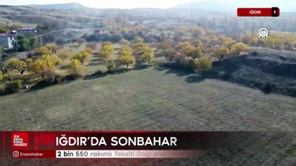 Iğdır Tekelti Dağı eteklerinde sonbahar renkleri hakim oldu