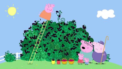The Blackberry Bush  _ Peppa Pig