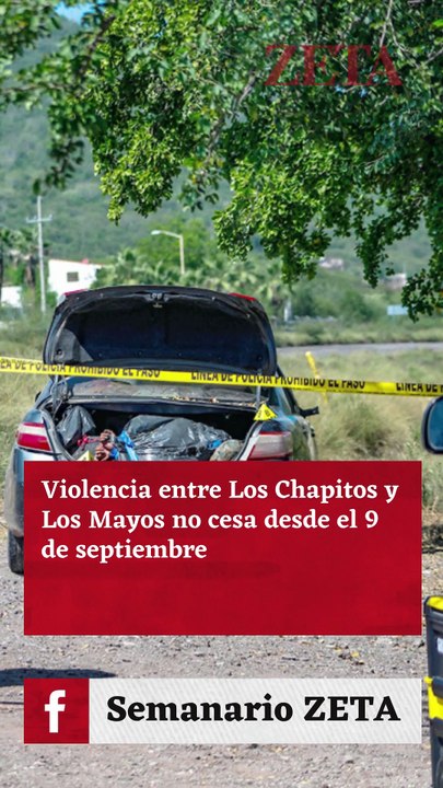Sinaloa: Narcoguerra sin fin.