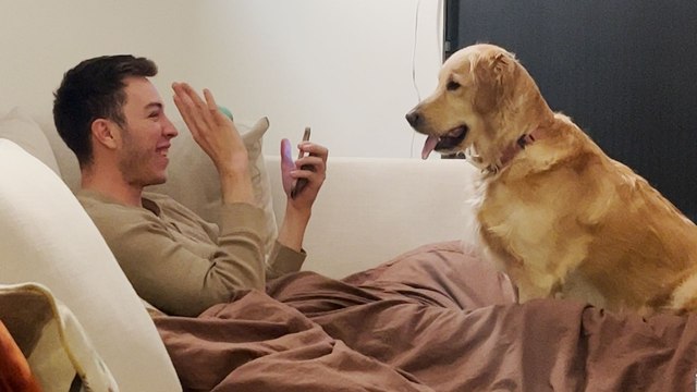Golden Retriever Begs Dad To Perform Magic Tricks For Her
