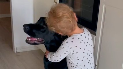 5 Reasons Dogs LOVE Their Little Humans