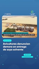 Avicultores denuncian demora en entrega de soya solvente