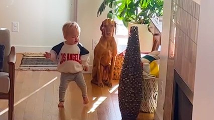 Neglected Senior Dog Learns To Be Part Of A Family