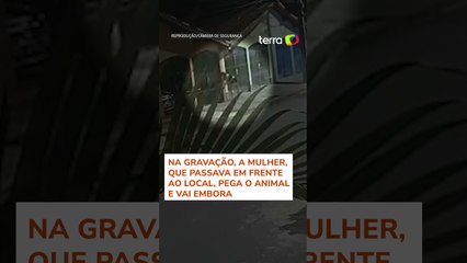 Mulher é flagrada furtando cadela de quintal de residência no litoral de São Paulo #shorts