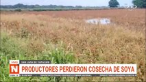 cosecha terminó dañada
